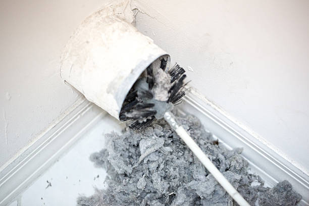 Best Residential Air Duct Cleaning  in Cudahy, CA